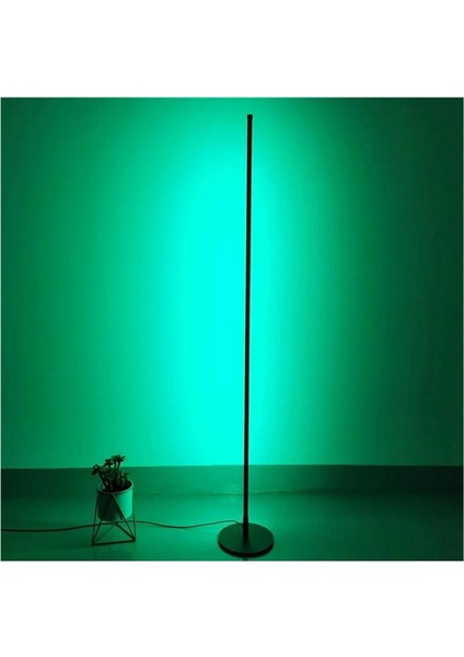 Modern Rgb 256 Renk Dekoratif Lambader LED Işık Sistemi modelleri