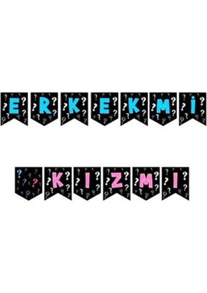 Erkek Mi Kız Mı Flama Banner Set