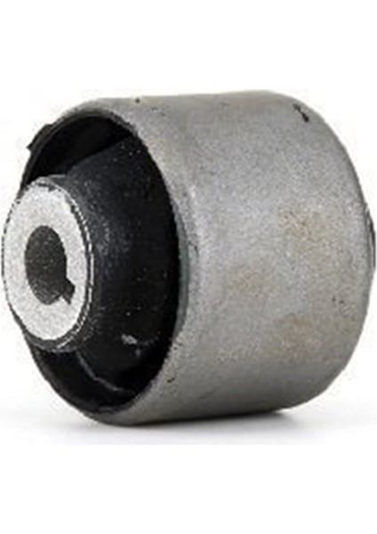 Transporter T7 Salıncak Burcu