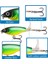 Olta Balıkçılık 7.5cm 6gr Süper Yüzücü Popper Rapala Yem 3
