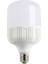 Ct 4262 Torch Led Ampul (5'li) 1