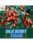 2 Adet Goji Berry Fidanı ( Nq7 ) Uzun Meyve Tüplü 1 Yaş 12 Ay Dikebilirsiniz 1