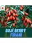 3 Adet Goji Berry 1