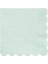 - Pale Mint Large Napkin - Soluk Nane Yeşili Peçeteler - 20LI 1