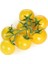 Sarı Cherry Domates Tohumu Sarı Domates Tohumu 10 Adet Tohum 1