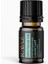 Defne Yaprağı Uçucu Yağı %100 Saf 10 ml Laurel Leaf 2