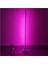 Modern Rgb 256 Renk Dekoratif Lambader LED Işık Sistemi 1