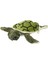 Yavru Caretta Caretta Peluş Oyuncak 22 cm 3