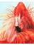 Mozaik Puzzle Tablo Dıy Flamingo Oda Dekorları Tablo 30X40 cm (Yurt Dışından) 1