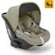  Renk Nolita Beige