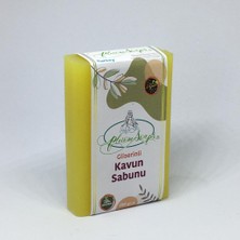 Pleione Soaps Gliserinli Papatya&Kavun&Ihlamur&Paçuli Sabunu 4'Lü Set +Sabun Koruyucu