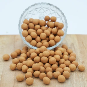 Mazi Kuruyemiş Çıtır Leblebi 1 kg