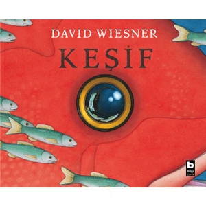 Keşif - David Wiesner