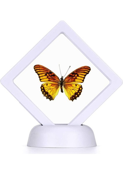 Takı Düzenleme Organizeri - Beyaz (Yurt Dışından) modelleri