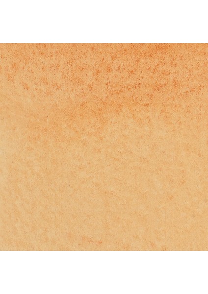 Promarker Watercolour Burnt Sienna 074 fiyatları