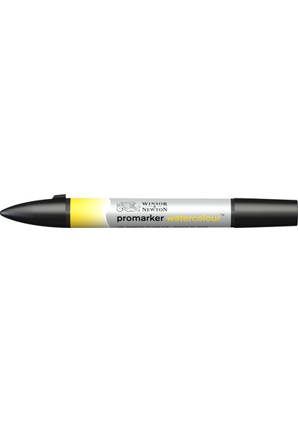 Winsor & Newton Promarker Watercolour Cadmium Yellow Hue 109