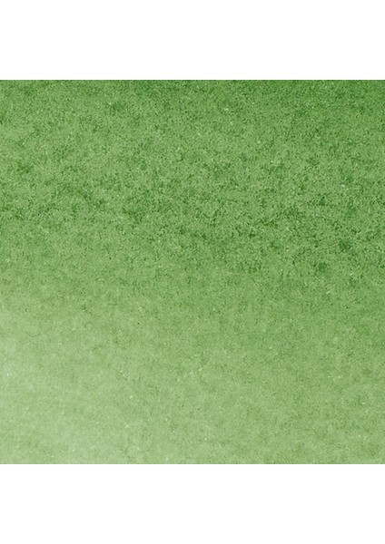 Promarker Watercolour Hooker's Green 311 fiyatları