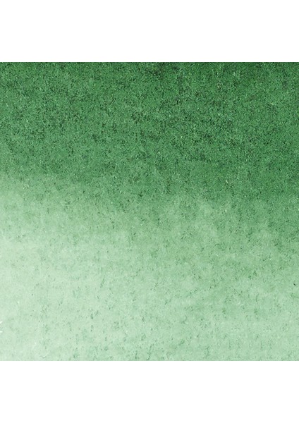 Promarker Watercolour Hooker's Green Dark 312 fiyatları