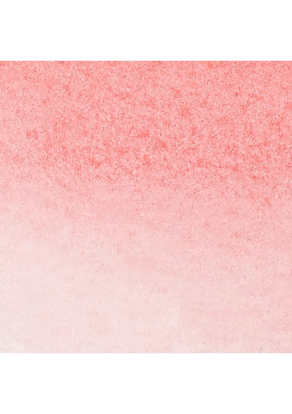 Promarker Watercolour Pale Rose 461 fiyatları