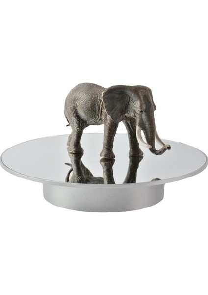 25 cm. USB Güç Döndüren Ekran Stand Video Çekim Planları Pikap - Gümüş Ayna (Yurt Dışından)