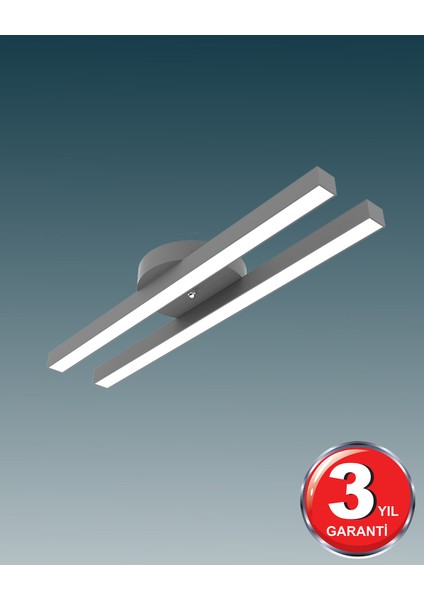 Hegza Lighting Mellızo ( Gri Kasa, Beyaz Işık ) Ledli Modern Plafonyer LED Avize, Salon, Mutfak, Oturma Odası