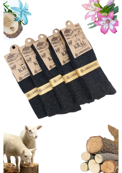 Kral Socks Erkek Kışlık Termal Etkili (5'li Paket) Lambswool Kuzu Yünlü Çorap