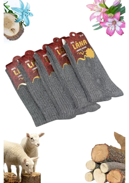 Kral Socks Bayan Kışlık Termal Etkili (5'li Paket) Lambswool Kuzu Yünlü Çorap