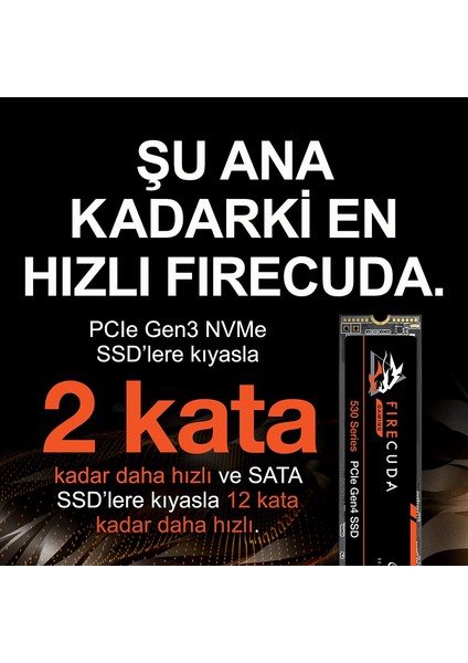 Firecuda 530 1Tb Ssd M.2 Pcıe Nvme 7300/6000MBs ZP1000GM3A013