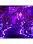 32M 300LEDS Noel Güneş Peri Işıkları (Yurt Dışından) 2
