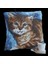 Yastık 1200 980 Kedi Işlenecek Goblen Etamin 1