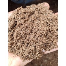 Uzay Bahçesi Fide Çiçek Yetiştirme Torfu  5 Litre
