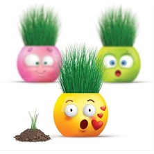 Aden Çim Adam Emoji