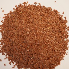 Modern Aktar Keten Tohumu Tane - Linseed Linum Usitatissimum 250 gr