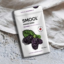 Smool Freeze Dried (Dondurularak Kurutulmuş) Karadut 25 gr Sağlıklı Atıştırmalık