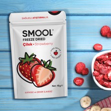 Smool Freeze Dried (Dondurularak Kurutulmuş) Çilek 15 gr Sağlıklı Atıştırmalık