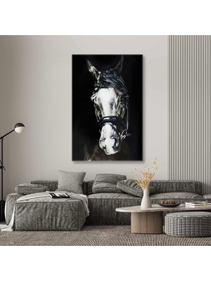 SML Tablo Karanlığın Içerisindeki Beyaz Asil At Horse Hayvan Kanvas Tablo