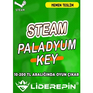 Random Paladyum Key