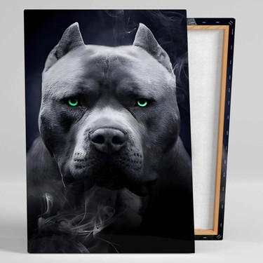 SML Tablo Yeşil Gözlü Pitbull Asi Köpek Irkı Etrafında Fiyatı