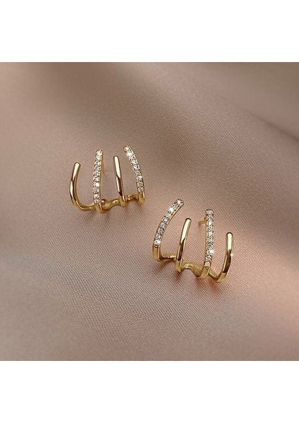 Zirkon Bayan Küpe (Yurt Dışından) indirimleri