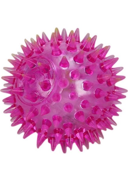 Sesli Işıklı Köpek Oyuncağı Topu Dikenli Diş Kaşıma Topu fırsatları