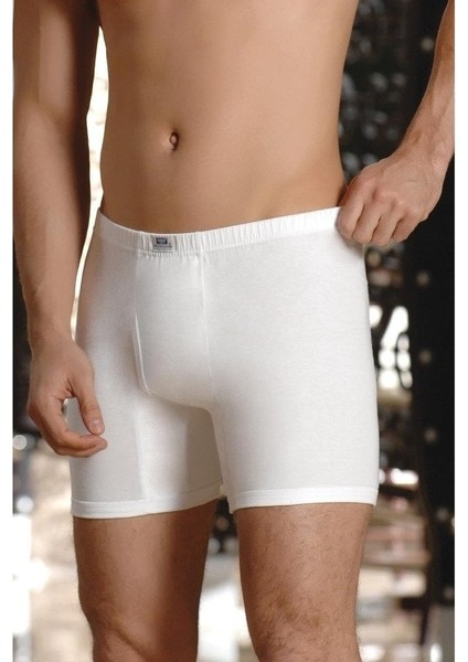 721 Erkek Arjantin Boxer fiyatları