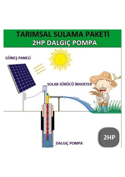 2hp Dalgıç Pompa - Tarımsal Sulama Sistemi