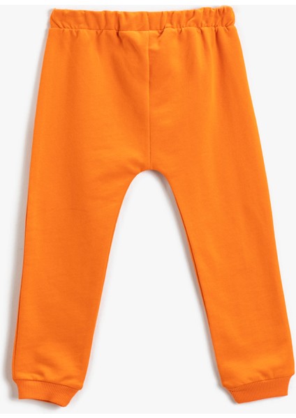 Aslan Baskı Detaylı Jogger Eşofman Altı fiyatları