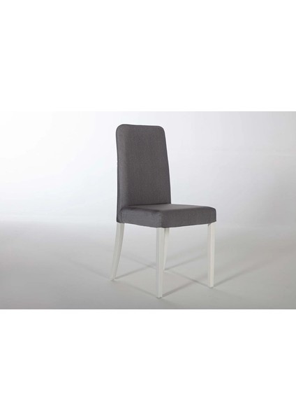 Leny 6168 2 Li Sandalye Gri modelleri