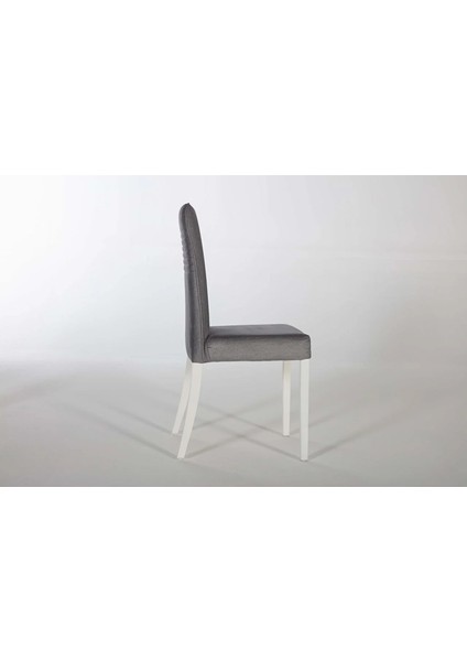 Leny 6168 2 Li Sandalye Gri indirimleri