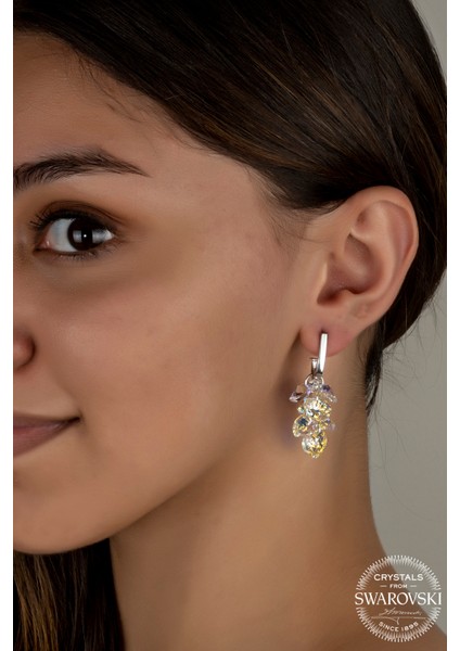 Crystal Kadın Kalp Salkım Gümüş Küpe fiyatları