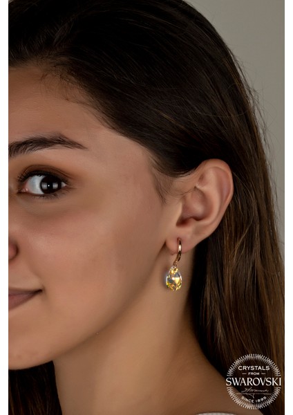 Crystal Kadın Parlak Damla Rose Gümüş Küpe fiyatları