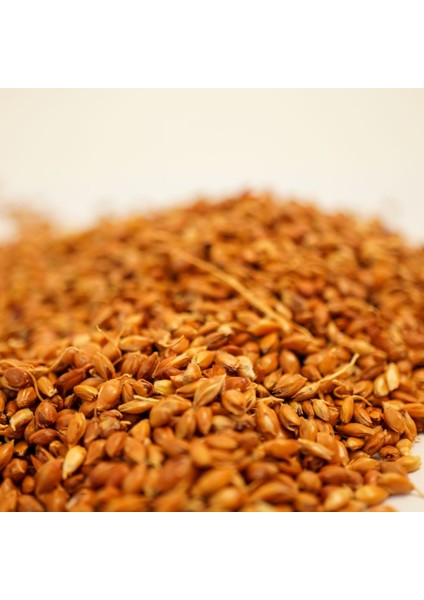 Süpürge Tohumu 200 gr