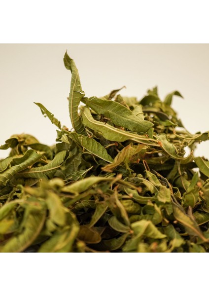 Melisa Melissa Officinalis( Limon Melisa ) 25 gr fiyatları