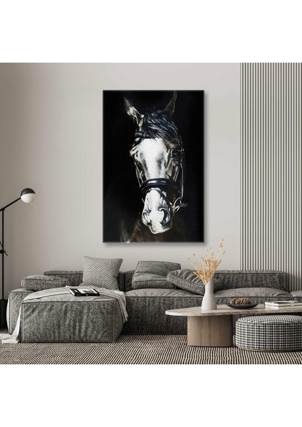 Karanlığın Içerisindeki Beyaz Asil At Horse Hayvan Kanvas Tablo
